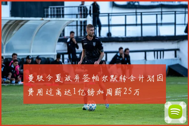 曼联今夏放弃签帕尔默转会计划因费用过高达1亿镑加周薪25万