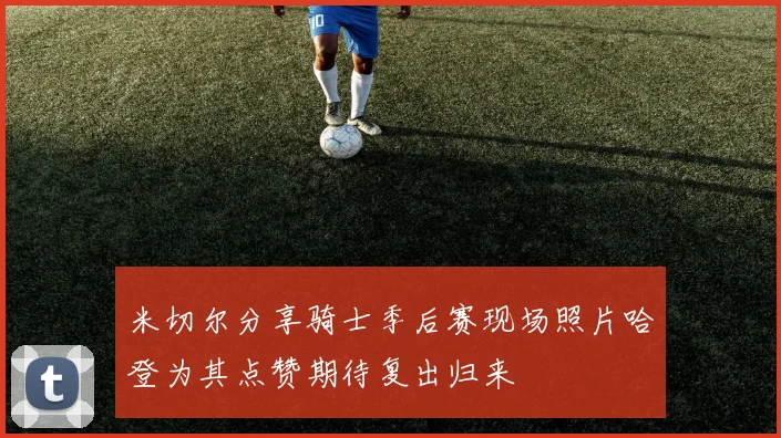 米切尔分享骑士季后赛现场照片哈登为其点赞期待复出归来