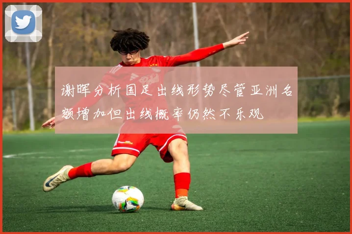 谢晖分析国足出线形势尽管亚洲名额增加但出线概率仍然不乐观
